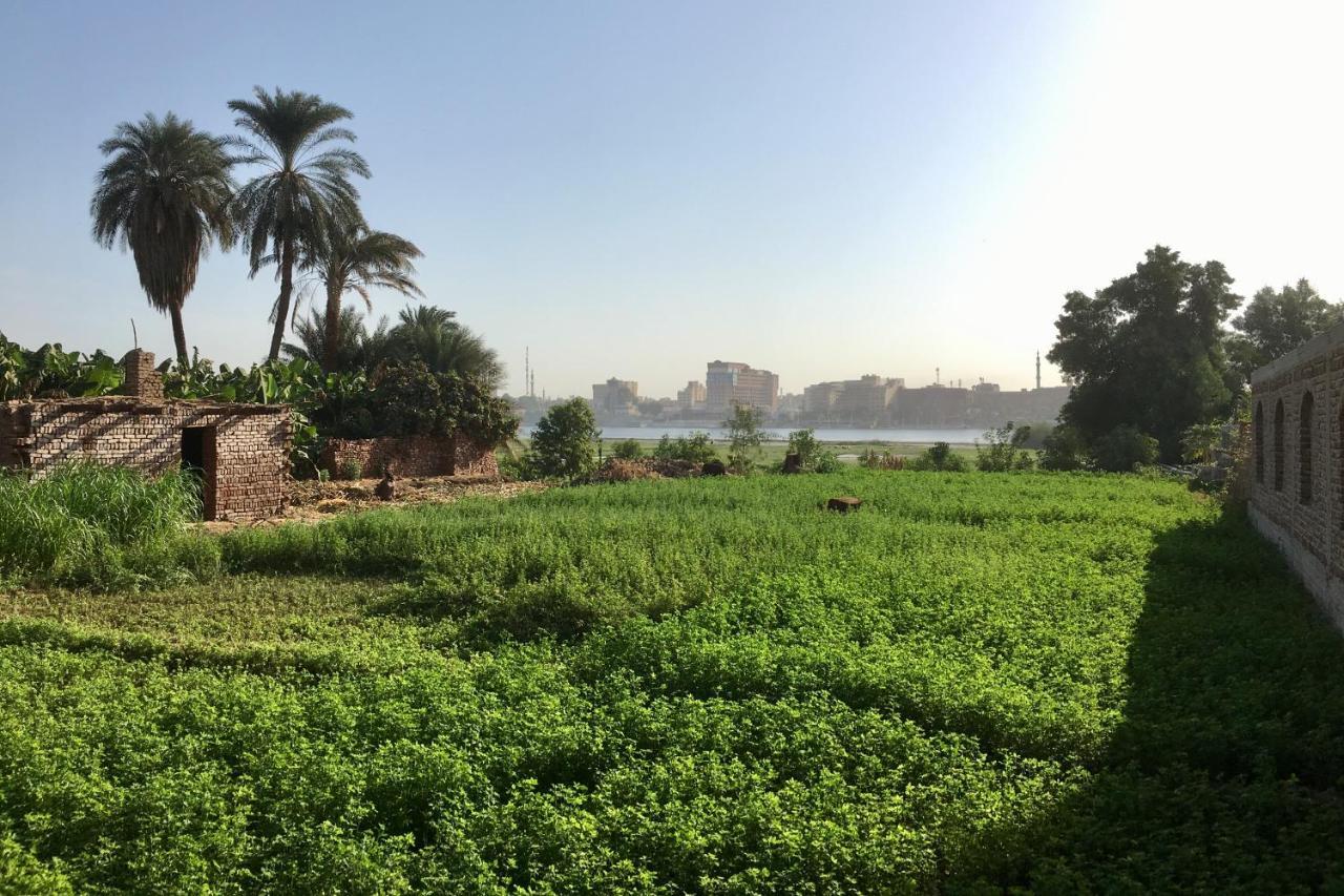 Jewel Howard Carter Hotel Luxor Bagian luar foto